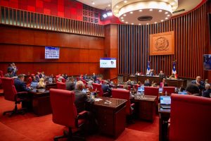 Senado aprueba instituto para mujeres víctimas de violencia