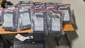 DNCD ocupa 25 paquetes de presunta marihuana en el aeropuerto Las Américas