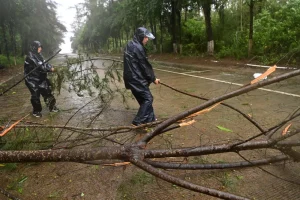 Fuertes lluvias y tormenta tropical dejan al menos cinco muertos en el norte de China